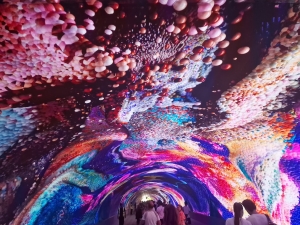 Gorizia, Digital Art Gallery